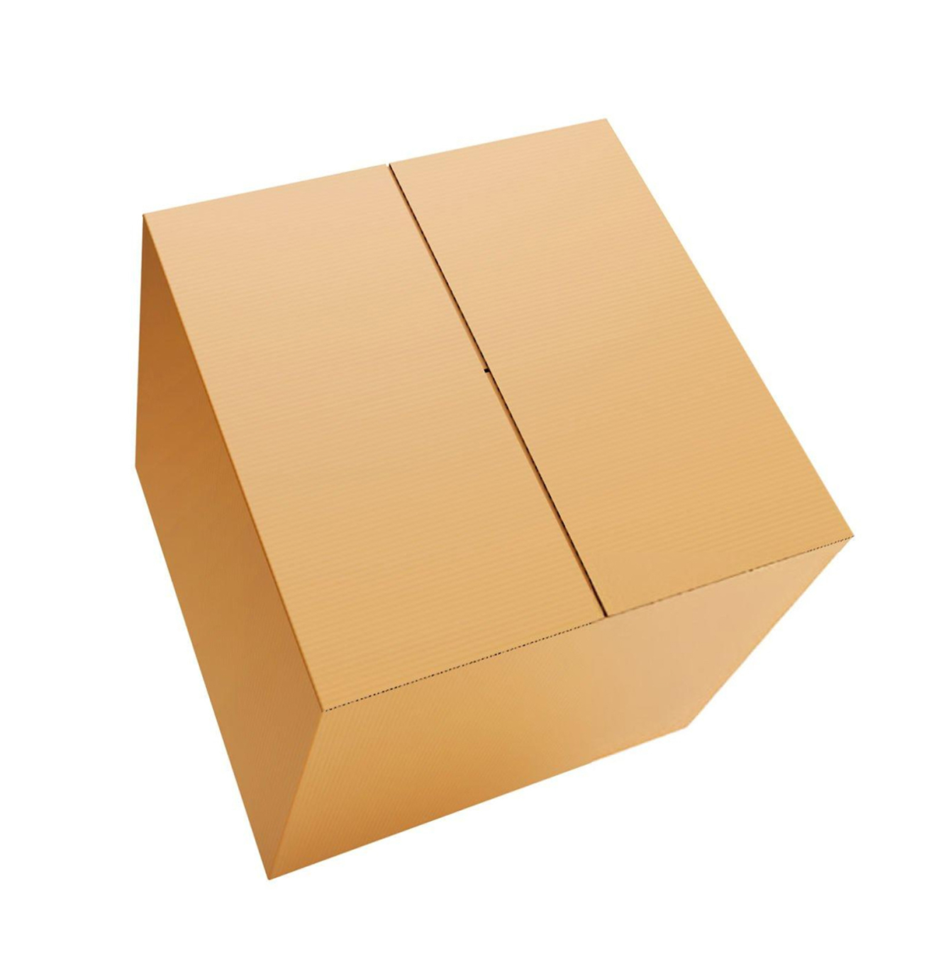 Large Ezi Carry Carton