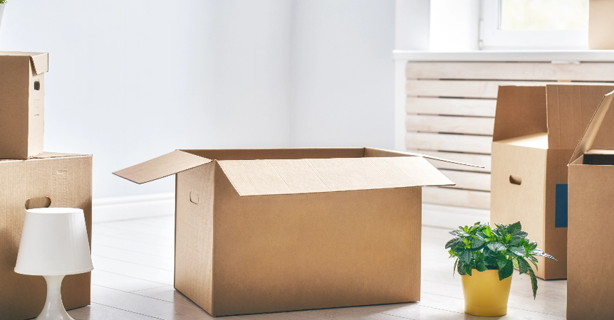 Packing and Moving