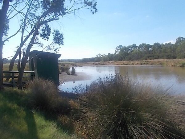 Bushy Park Wetlands