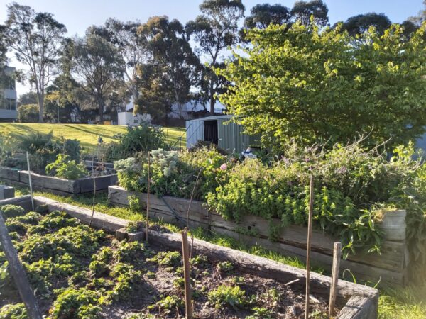 Notting Hill Community Garden melbourne